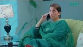 Mohabbat Satrangi - Episode 113